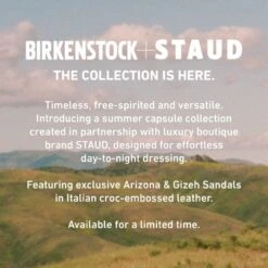 Birkenstock Gizeh Big Buckle Natural Leather Patent Black -Trendy Steps Shop 1023779 f look f